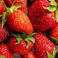 Земляника Маришка